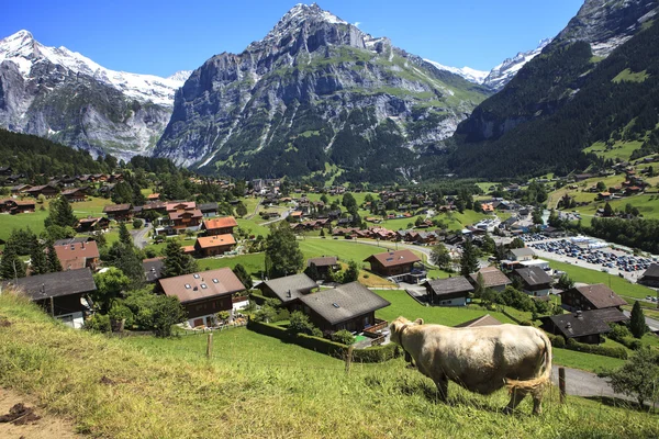 Montanhas swiss de grindelwald — Fotografia de Stock