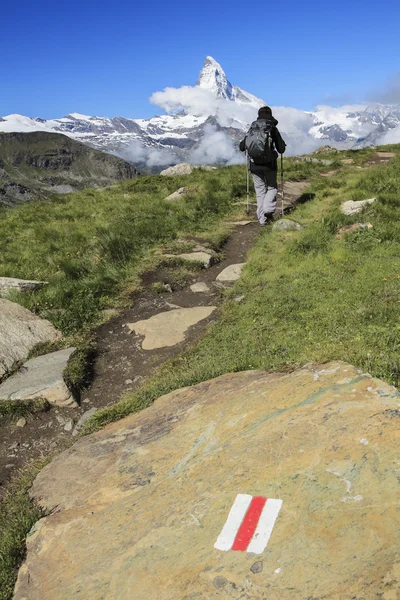 Uzun yürüyüşe çıkan kimse ve Matterhorn aralığı içinde belgili tanımlık geçmiş — Stok fotoğraf