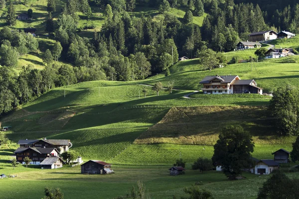 A paisagem circundante de grindelwald — Fotografia de Stock