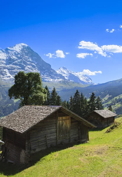 A paisagem circundante de grindelwald — Fotografia de Stock