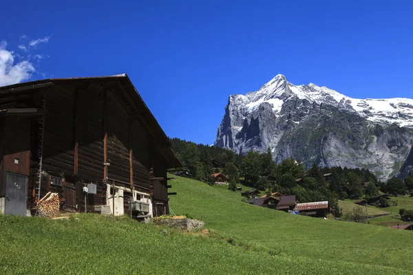 The countryside surrounding of grindelwald — Stock Photo, Image