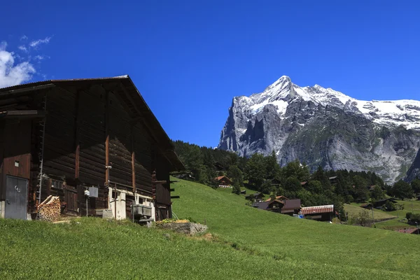 A paisagem circundante de grindelwald — Fotografia de Stock