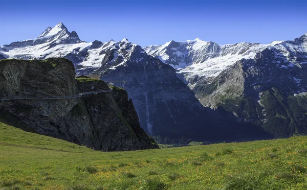 Panorama på swiss bergskedja — Stockfoto