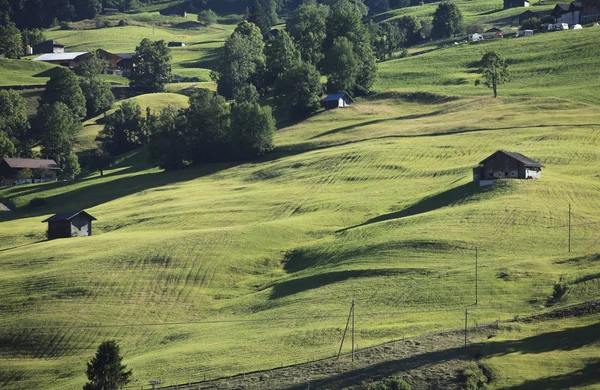 Het platteland rond grindelwald — Stockfoto