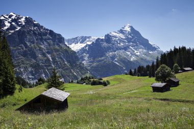 kırsal grindelwald çevreleyen