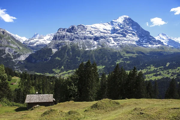 A paisagem circundante de grindelwald — Fotografia de Stock