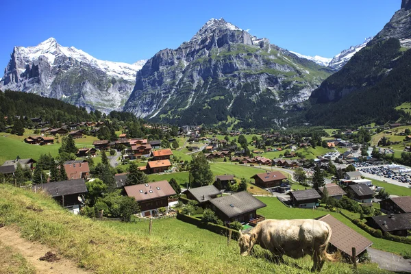 El entorno rural de grindelwald —  Fotos de Stock