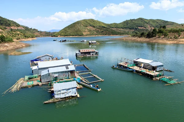 Granja Ganado Río — Foto de Stock