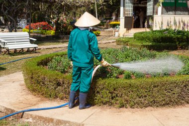 Bahçıvan bahçedeki çiçek tarlasını suluyor.
