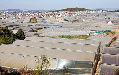 Güney Vietnam 'daki sera alanı.