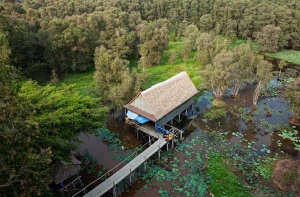 Mangroves Jihu Vietnamu — Stock fotografie