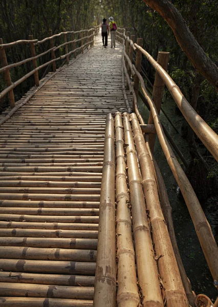 Lávka Bambusu Vietnamu — Stock fotografie