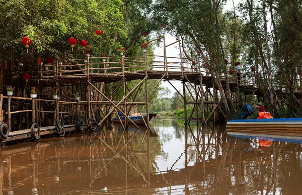 Manglar Sur Vietnam — Foto de Stock