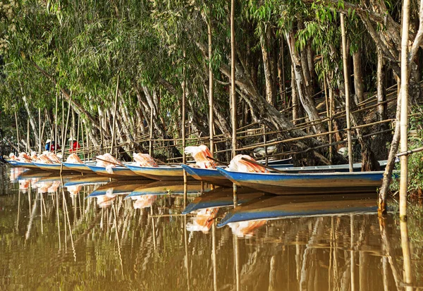 Manglares Sur Vietnam — Foto de Stock