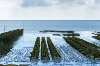 Normandiya 'daki ünlü manastır.
