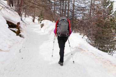 Karda yürüyen kadın