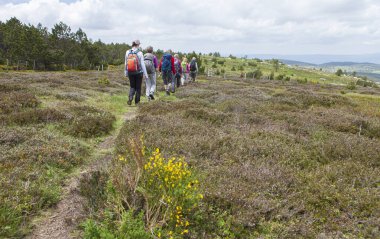 Yolda yürüyen bir grup yürüyüşçü