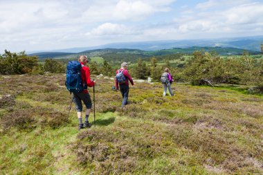 Yolda yürüyen bir grup yürüyüşçü