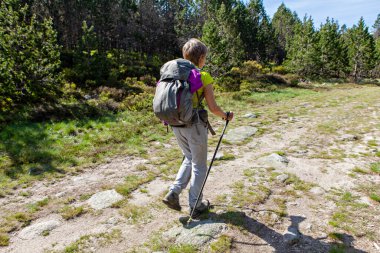 Kadın İskandinav yürüyüşü yapıyor.
