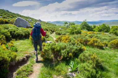 Yalnız gezgin ve süpürge