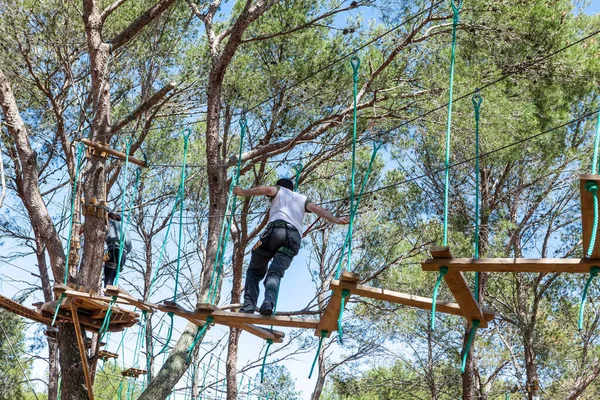 people training in a tree climbing park