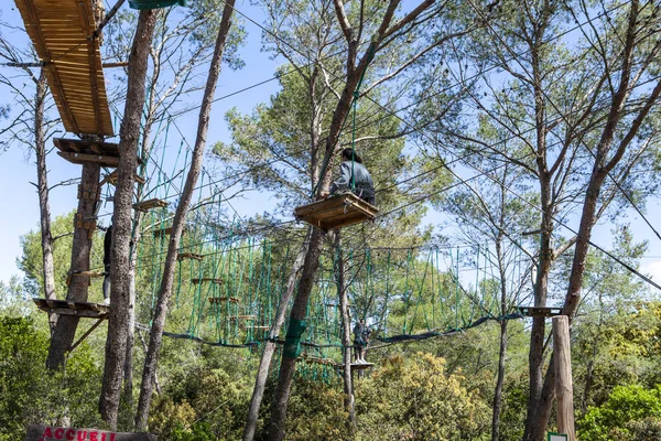 people training in a tree climbing park