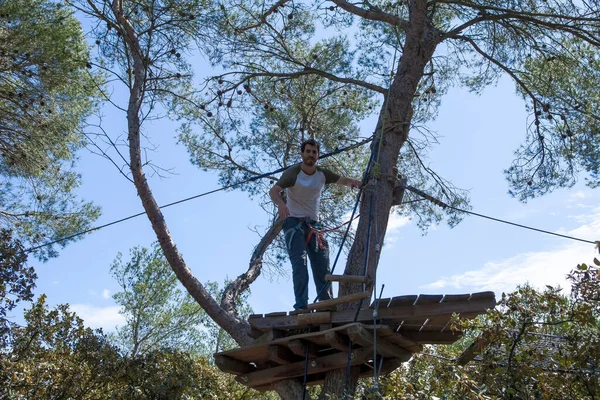 people training in a tree climbing park