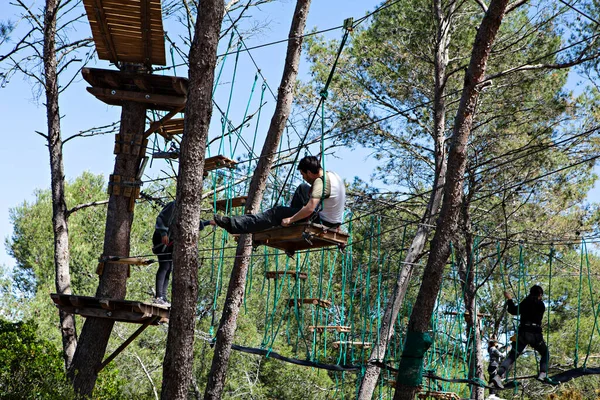 people training in a tree climbing park