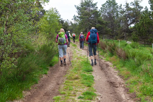 Groupe Randonneurs Marchant Sur Sentier — Photo