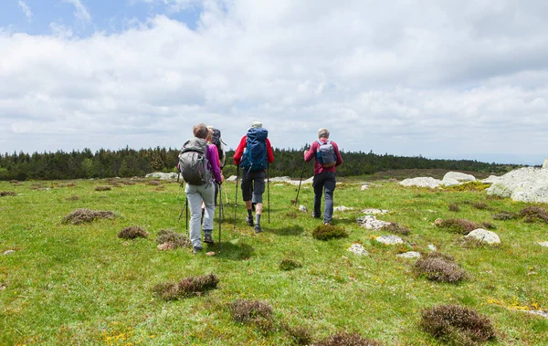 Grupp Vandrare Vandrar Stigen — Stockfoto