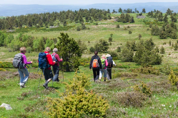 Groupe Randonneurs Marchant Sur Sentier — Photo