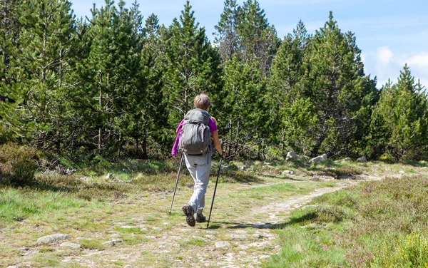 Mulher Praticando Caminhada Nórdica — Fotografia de Stock