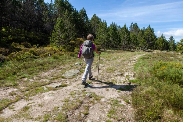 Woman Praticing Nordic Walking — Stock Photo, Image