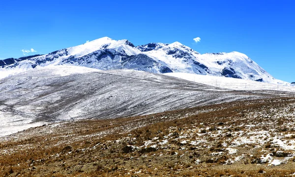 Trekking in bolivia — Stock Photo, Image