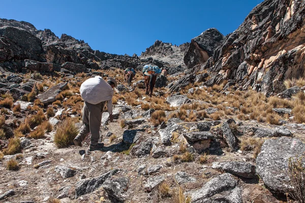 Wandeltochten in bolivia — Stockfoto