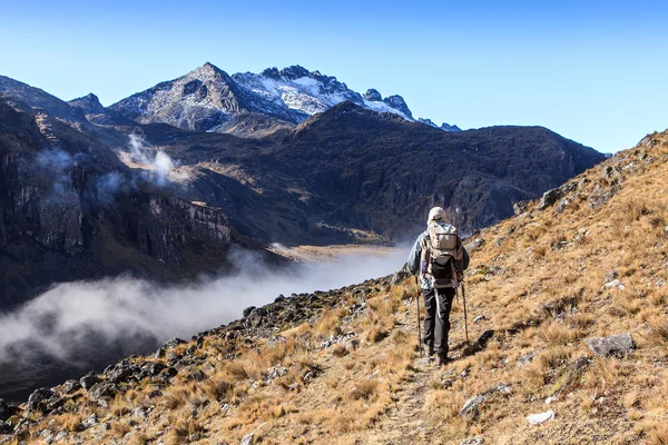 Bolivya'da trekking — Stok fotoğraf