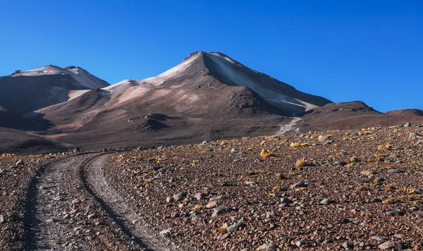 Laguna colorada - Stock-foto