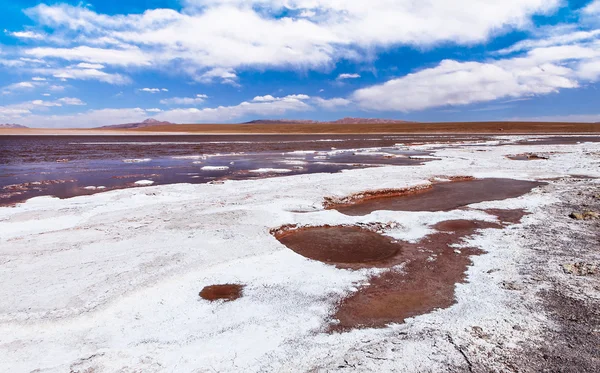 Laguna colorada — Fotografia de Stock