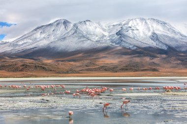 bolivian landscape clipart