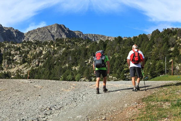 Hikers — Stock Photo, Image