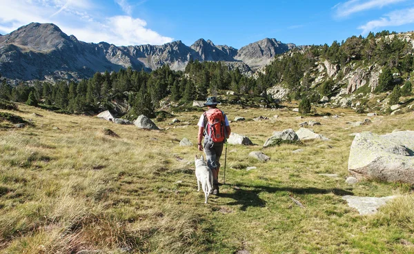 Shepherd with his dog — Stock Photo, Image