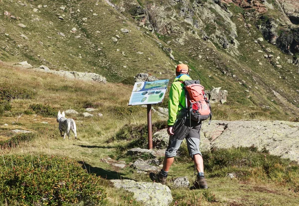 Shepherd with his dog — Stock Photo, Image