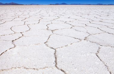 uyuni in salar