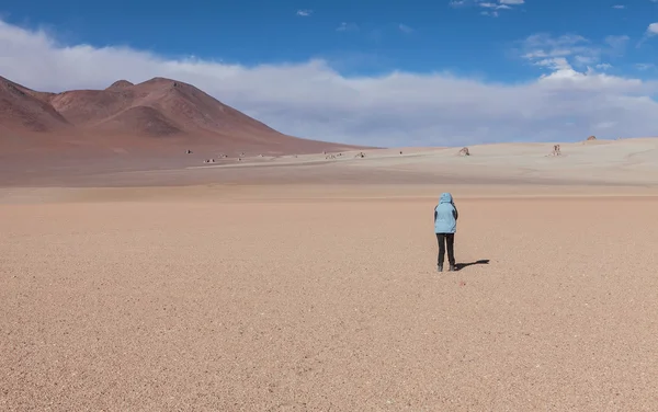 Lost in the desert — Stock Photo, Image