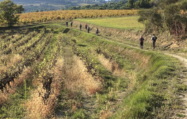 Hikers welking — Stock Photo, Image