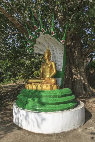 Staty av buddha — Stockfoto