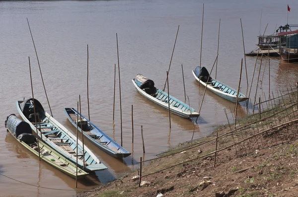Hoduje na břehu řeky mekong — Stock fotografie
