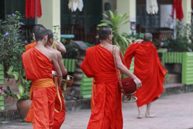 luang prabang keşişler