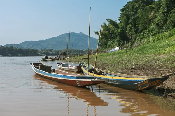 Juncos en la orilla del mekong — Foto de Stock