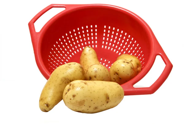 Aardappelen — Stockfoto